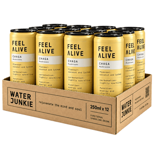 WaterJunkie Coconut & Lychee Sparkling Chaga Mushroom Drink 250ml Case of 12